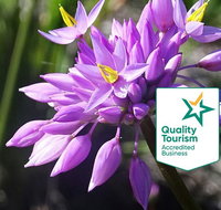 Spring Wildflower Private Day Tours - Accommodation Bookings