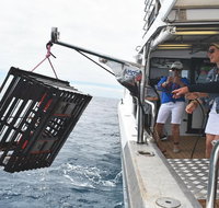 Rottnest Island Wild Seafood Package with Round Trip Ferry from Perth - Accommodation Bookings