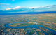 Skydive Over Perth City 14000ft - thumb 2