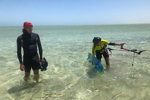 Kitesurfing Lesson - Accommodation Bookings 0