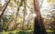 Margaret River 3 Day Escape - thumb 2