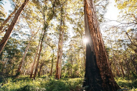Margaret River 3 Day Escape - Accommodation Bookings 2