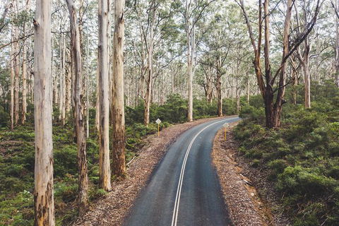 All Inclusive Surf Camp In Margaret River Region - Accommodation Bookings 2