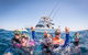 Life On Ningaloo Swimming Tour In Exmouth - thumb 4