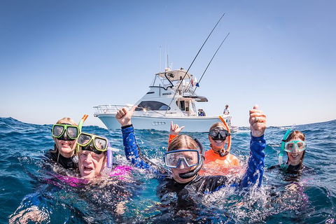Life On Ningaloo Swimming Tour In Exmouth - Accommodation Bookings 4