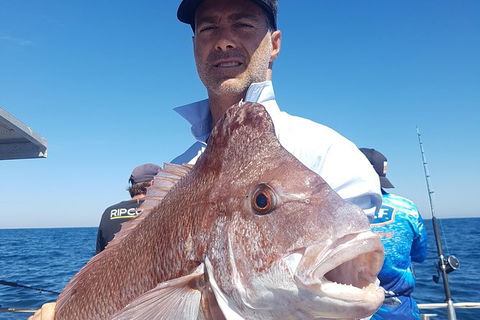 Abrolhos Islands 4 Day Fishing Charter - Accommodation Bookings 8