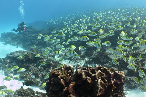 5 Night Ningaloo Reef Ningaloo Escape From Coral Bay - Accommodation Bookings 5