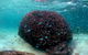 5 Night Ningaloo Reef Ningaloo Escape From Coral Bay - thumb 3