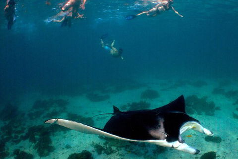 5 Night Ningaloo Reef Ningaloo Escape From Coral Bay - Accommodation Bookings 1