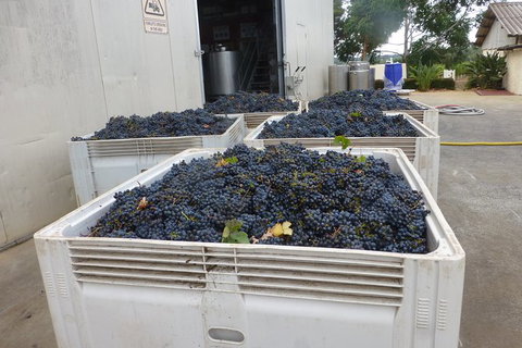 A Taste Of Margaret River Luxury Wine Tour - Accommodation Bookings 3