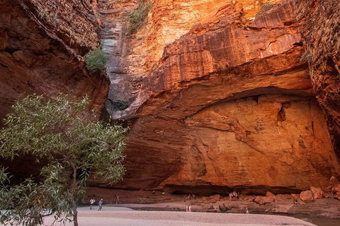 Bungles Day Trek Extended (with Echidna Chasm) - Accommodation Bookings 0