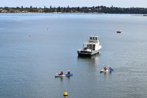 Cliffs And Caves Kayak Tour In Swan River - Accommodation Bookings 5