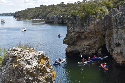 Cliffs And Caves Kayak Tour In Swan River - Accommodation Bookings 2