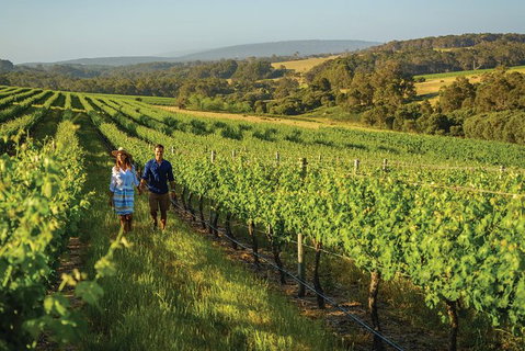 6 Days Perth All-Inclusive Touring Package - Accommodation Bookings 5