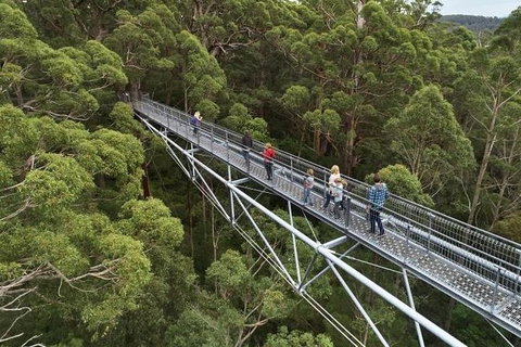 6 Days Perth All-Inclusive Touring Package - Accommodation Bookings 4