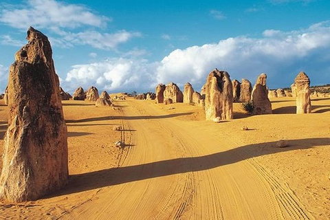 6 Days Perth All-Inclusive Touring Package - Accommodation Bookings 0