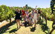 Wine, Beer & Chocolate Tour - thumb 0