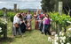 Wine, Beer & Chocolate Tour - thumb 2