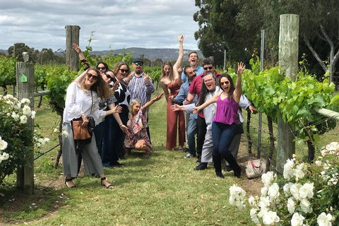 Wine, Beer & Chocolate Tour - Accommodation Bookings 2