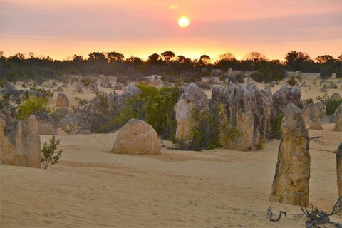 Pinnacle Desert Sunset And Stargazing With Dinner - Accommodation Bookings 3