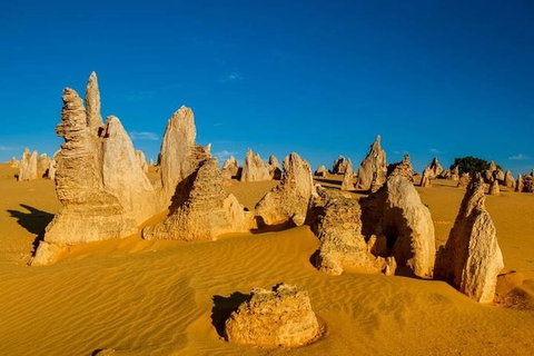 Pinnacle Desert Sunset And Stargazing With Dinner - Accommodation Bookings 5