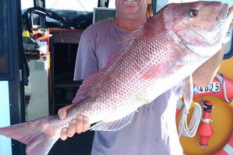Geraldton Fishing Charter - Accommodation Bookings 10