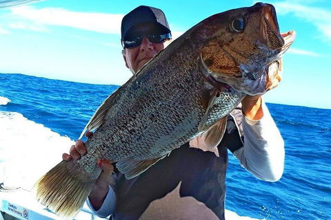 Geraldton Fishing Charter - Accommodation Bookings 4