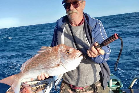Geraldton Fishing Charter - Accommodation Bookings 8