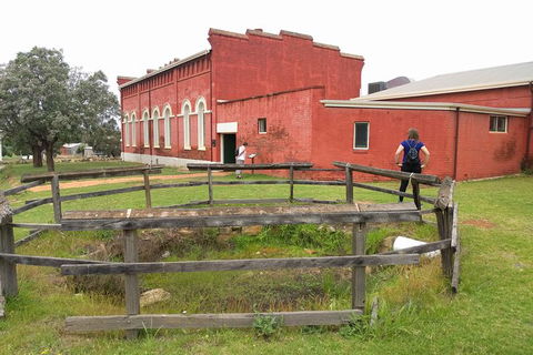 New Norcia And Countryside Tour - Accommodation Bookings 3