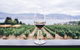 Full-Day Gourmet Wine Tour With Pick Up And Lunch - thumb 1