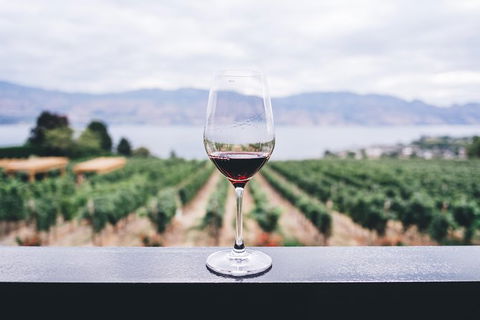 Full-Day Gourmet Wine Tour With Pick Up And Lunch - Accommodation Bookings 1