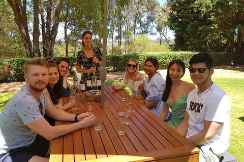 Full-Day Gourmet Wine Tour With Pick Up And Lunch - Accommodation Bookings 5