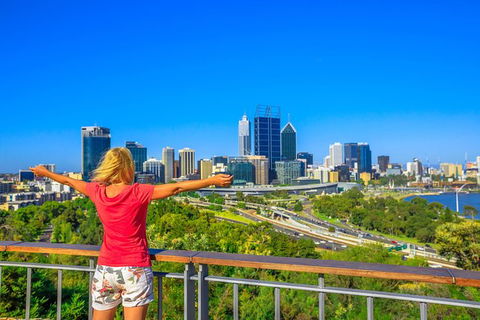 Full-Day Gourmet Wine Tour With Pick Up And Lunch - Accommodation Bookings 2