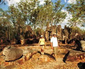  Accommodation Bookings