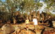 The Lost City - Litchfield National Park - thumb 0