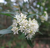 Booderee National Park - Accommodation Bookings