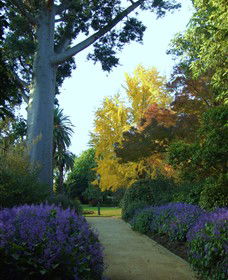 Albury Botanic Garden - Accommodation Bookings 0