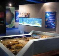 Marine and Freshwater Discovery Centre - Accommodation Bookings