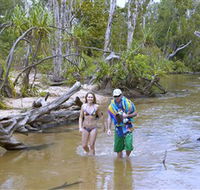 Tjuwaliyn / Douglas Hot Springs Park - Accommodation Bookings