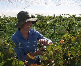 Kingsdale Wines - Accommodation Bookings 0