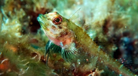 Busselton Jetty & Underwater Observatory Tour - Accommodation Bookings 7