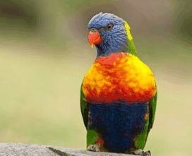 Booderee National Park - Accommodation Bookings 1