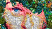Flinders Lane Gallery - Accommodation Bookings 2