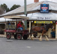 Bathurst Farm Experience - Accommodation Bookings