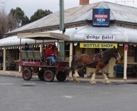 Bathurst Farm Experience - Accommodation Bookings 0
