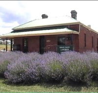 Lavender House in Railway Park - Accommodation Bookings