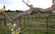 Nalbra Estate Wines - thumb 0
