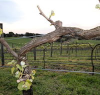 Nalbra Estate Wines - Accommodation Bookings