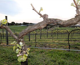 Nalbra Estate Wines - Accommodation Bookings 0