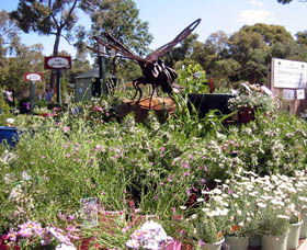 Zanthorrea Nursery - Accommodation Bookings 0